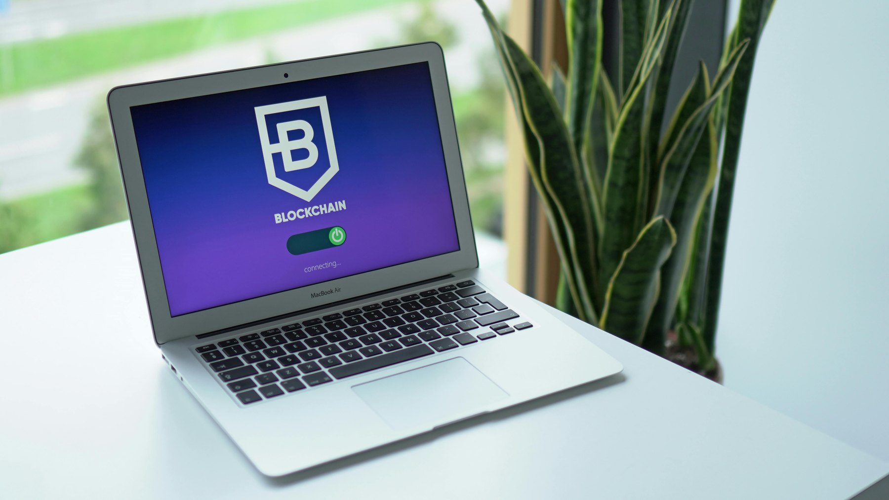 how to invest in crypto long-term - Inline Photo