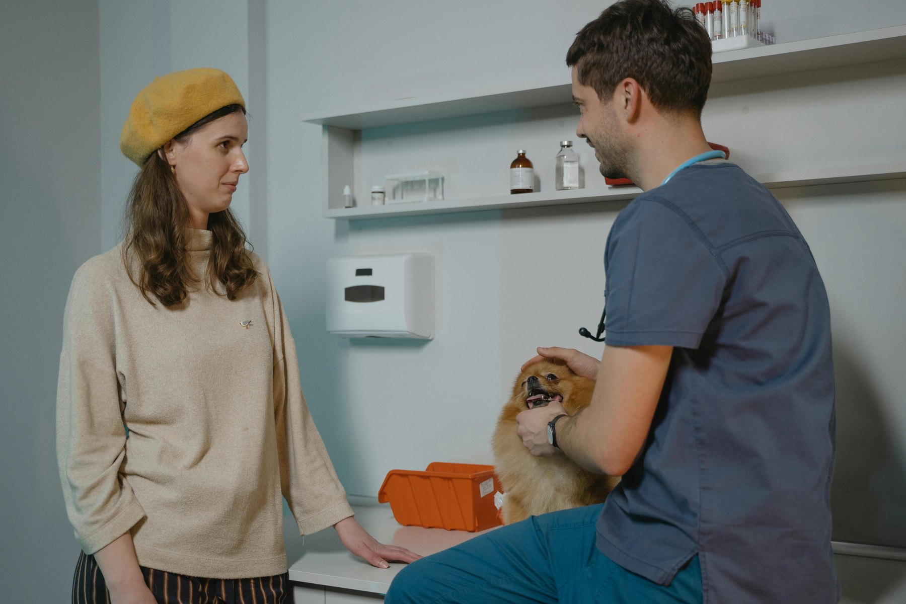 Dog vaccination cost visual guide Dog vaccination cost article image about everyday money decisions