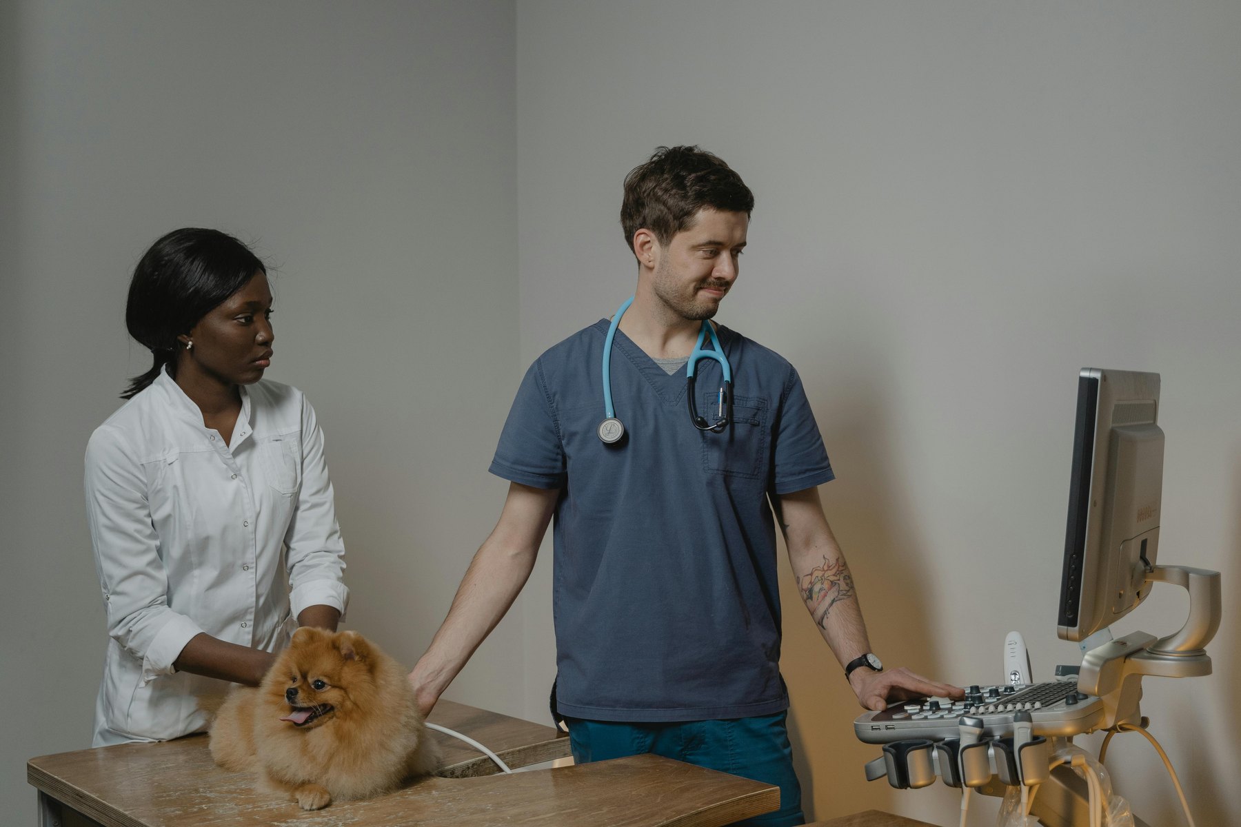 Breed and age impact on pet insurance visual guide Breed and age impact on pet insurance article image about insurance coverage and premium comparisons