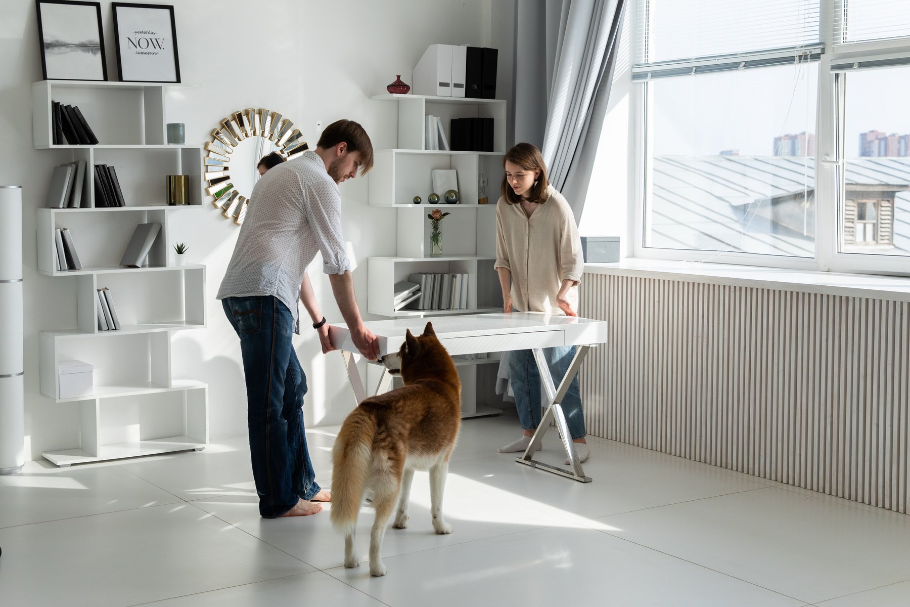Does renters insurance cover pets visual guide Does renters insurance cover pets article image about insurance coverage and premium comparisons