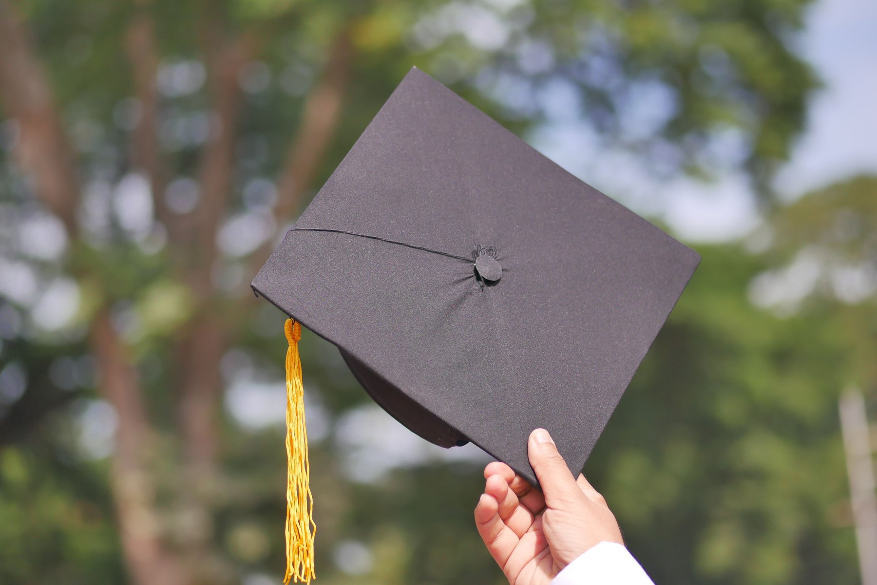 Where billionaires went to college visual guide Where billionaires went to college article image about student loan repayment options