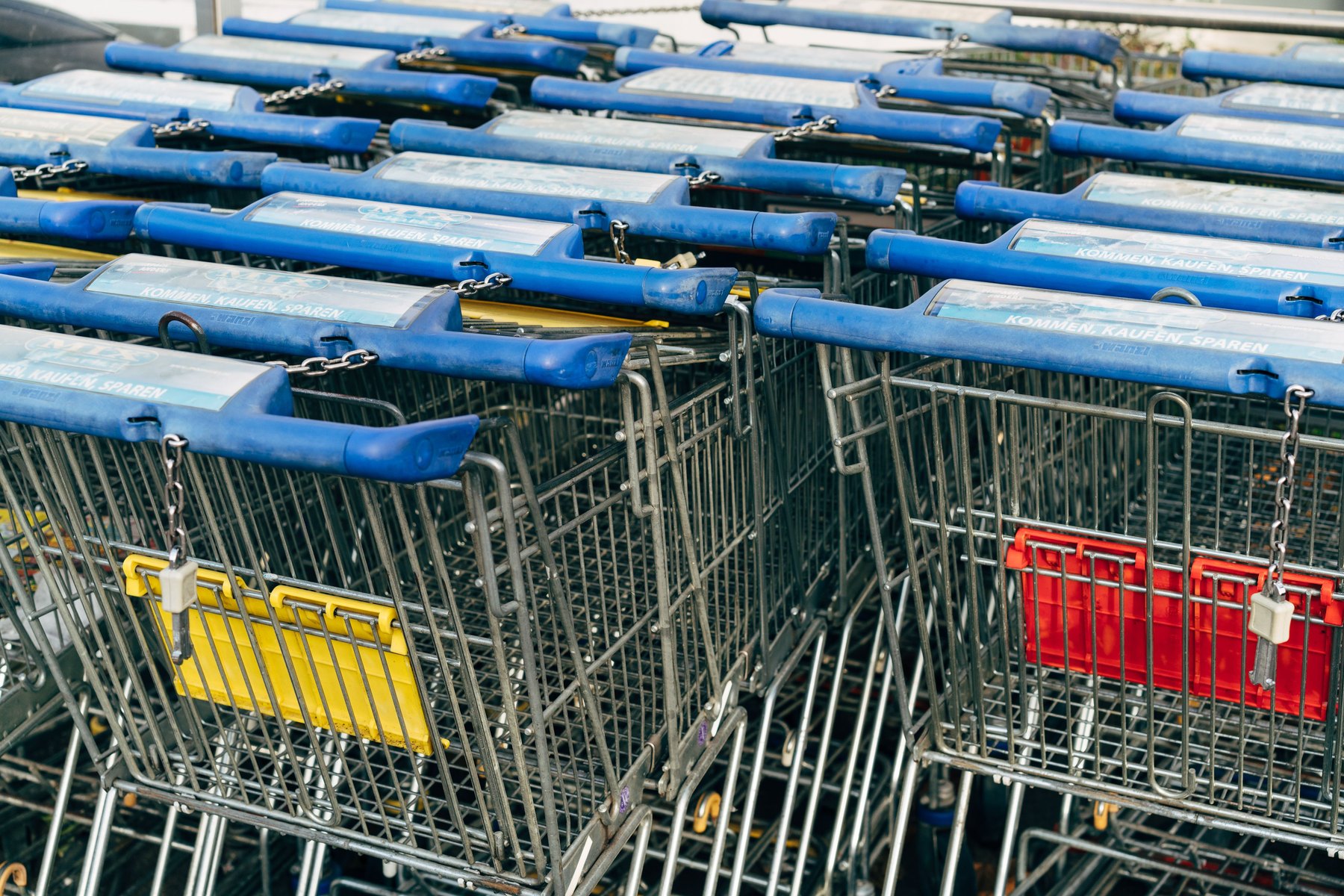 Costco shop without paying membership visual guide Costco shop without paying membership article image about everyday money decisions