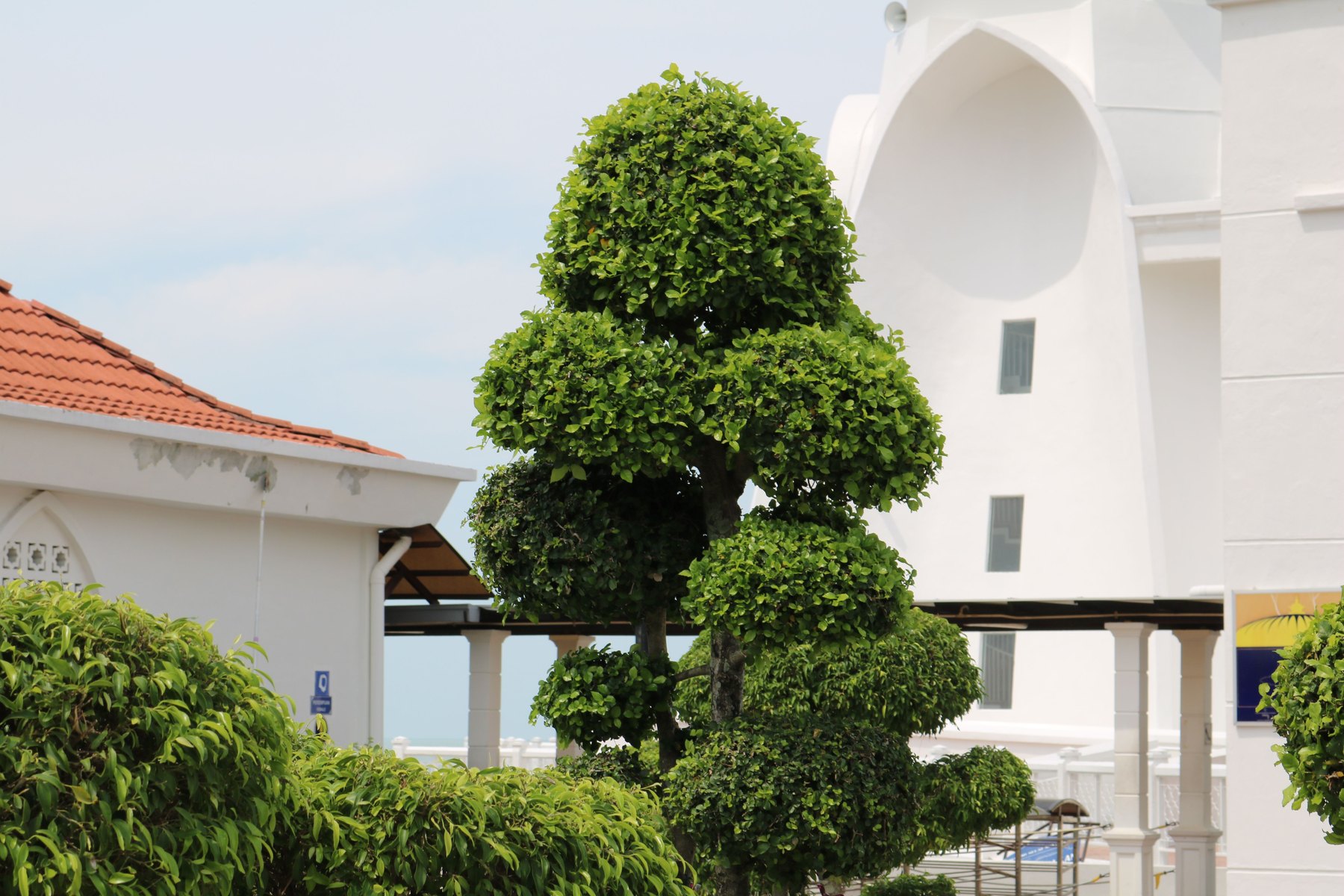 Crime-deterring landscaping visual guide Crime-deterring landscaping article image about everyday money decisions